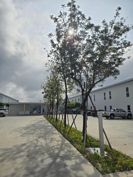 one budget hotel chiangrai bypass east