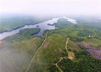 bear mountain lodge