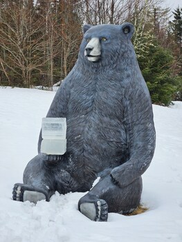 bear mountain lodge