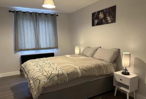 cozy rochester apartment retreat