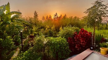 gulmohar eco village resort