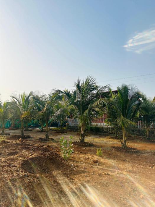 shritej by joy suites