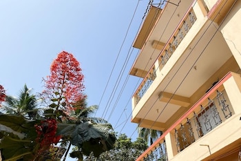 Jolene's Mandrem,,2 star