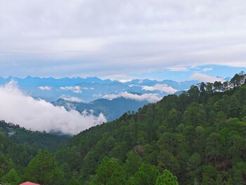 hotel pines and peaks by tws