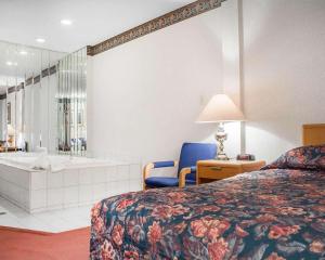 econo lodge by the falls