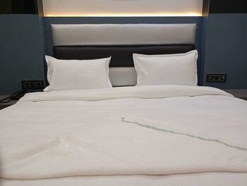 hotel c and g villa new delhi