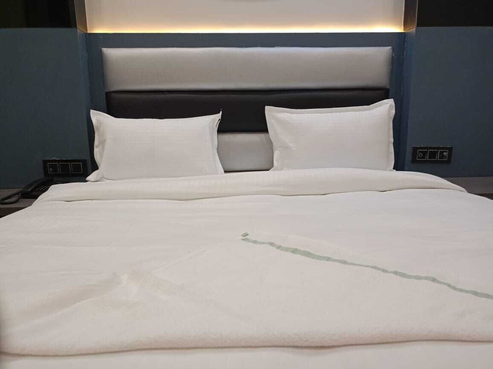 hotel c and g villa new delhi