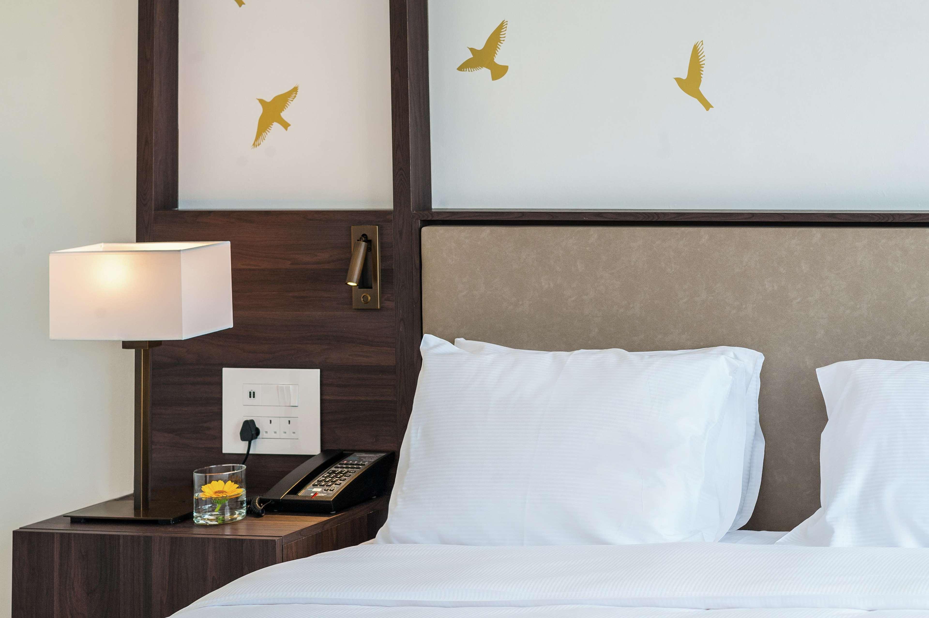 hilton nicosia