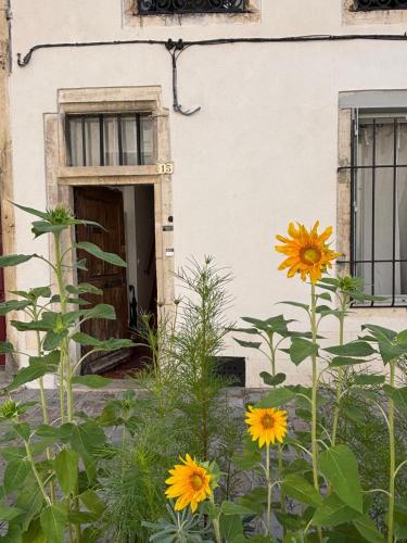 maison rinette