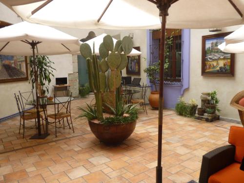 oaxaca