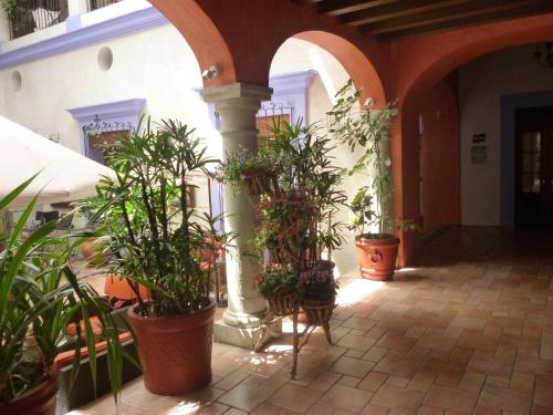 oaxaca