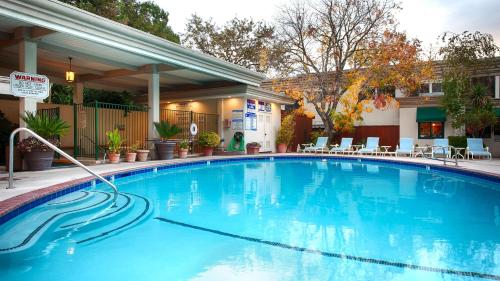 best western plus black oak