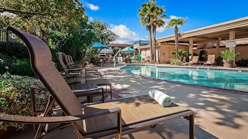 best western plus black oak