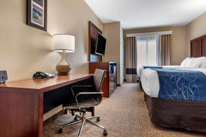 comfort suites pell city i 20 exit 158