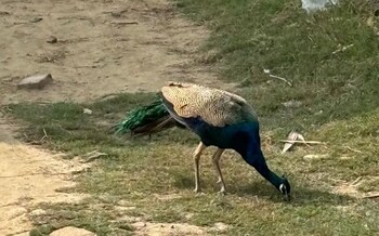 atithi home stay and cloud kitchen