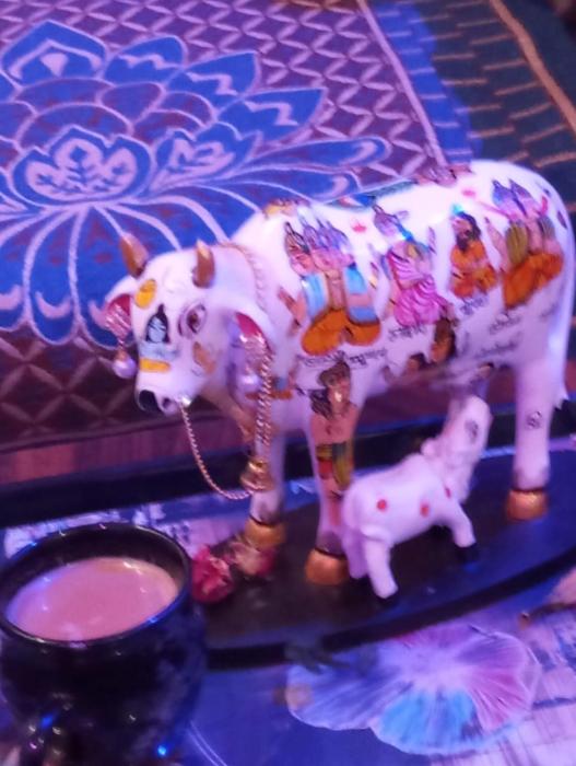 atithi home stay and cloud kitchen