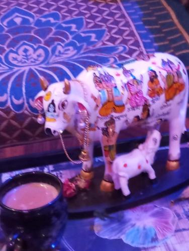 atithi home stay and cloud kitchen