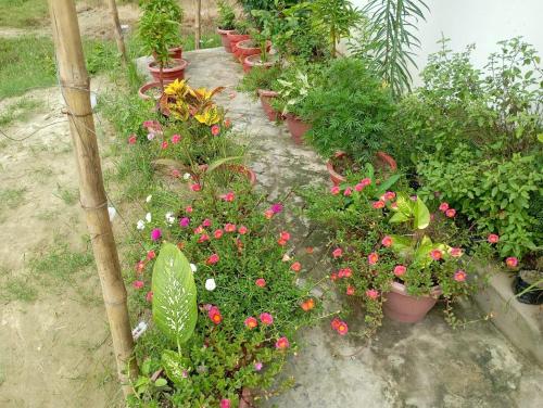 Atithi Home Stay And Cloud Kitchen,,3 star