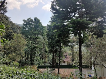 disha plantation resort