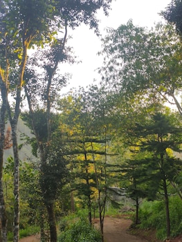 disha plantation resort