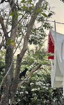 bangkok