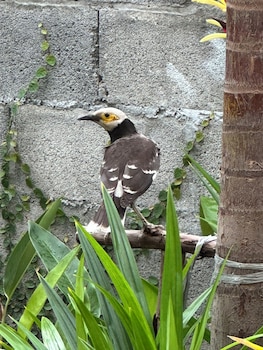 bangkok