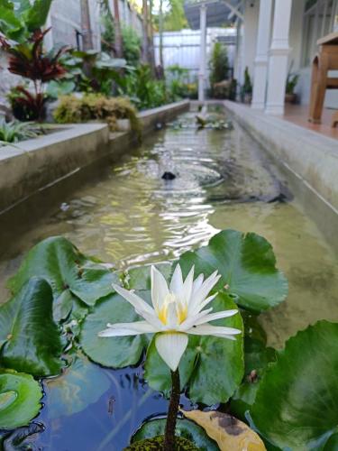 bangkok