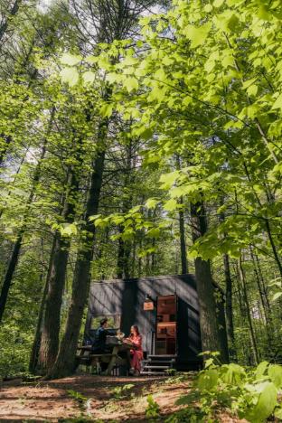 postcard cabins talladega valley