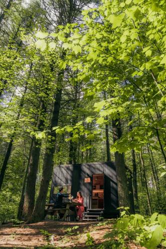 postcard cabins talladega valley