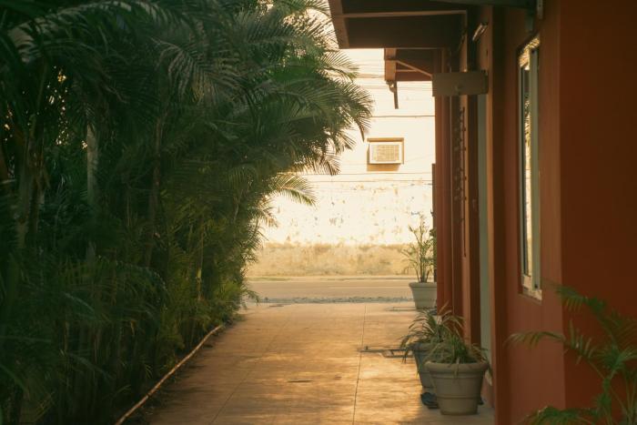 naksha tree hotels honey crest