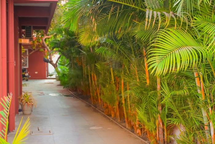 naksha tree hotels honey crest