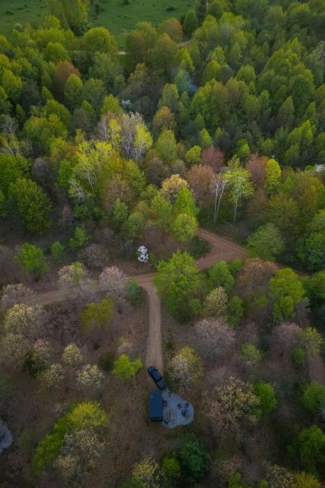 postcard cabins barber creek