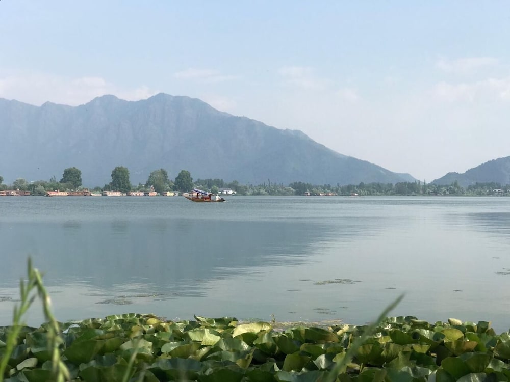srinagar