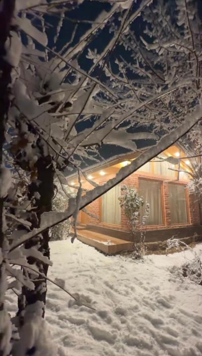 nigeen vista lakeside chalet