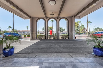 tempe oasis