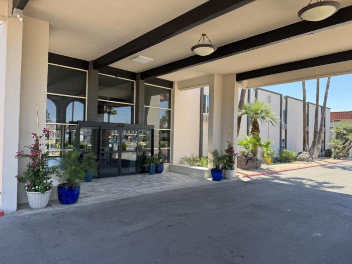 tempe oasis
