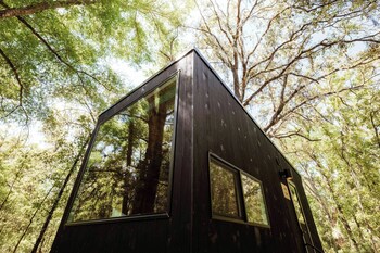 postcard cabins piney woods