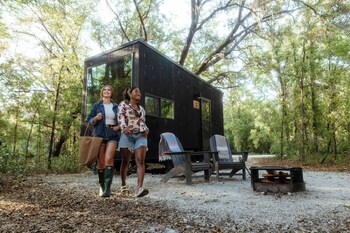 postcard cabins piney woods