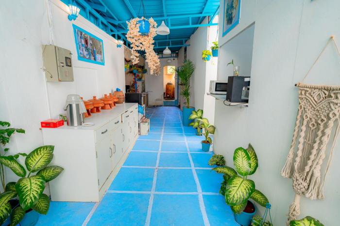 viik wellness inn 3 star resort in arambol beach