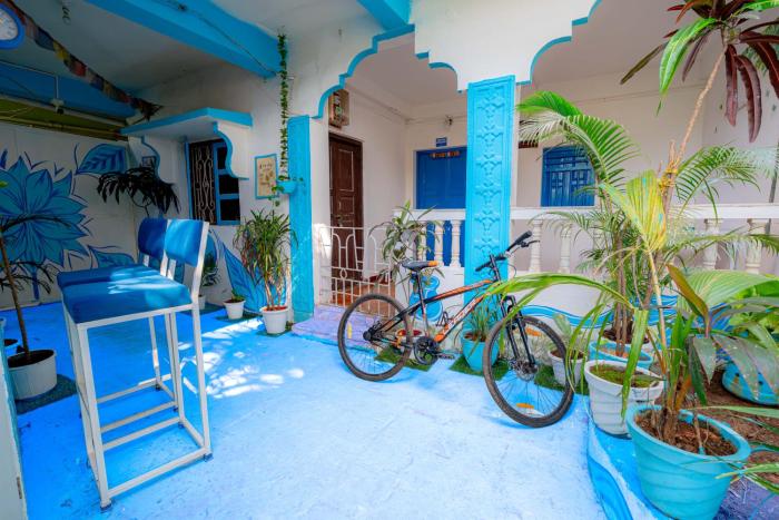 viik wellness inn 3 star resort in arambol beach