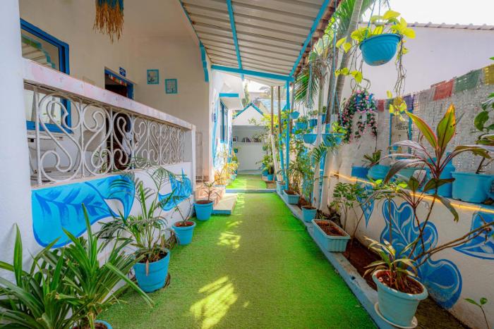 viik wellness inn 3 star resort in arambol beach