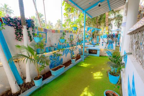 viik wellness inn 3 star resort in arambol beach