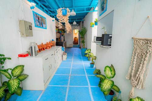 viik wellness inn 3 star resort in arambol beach