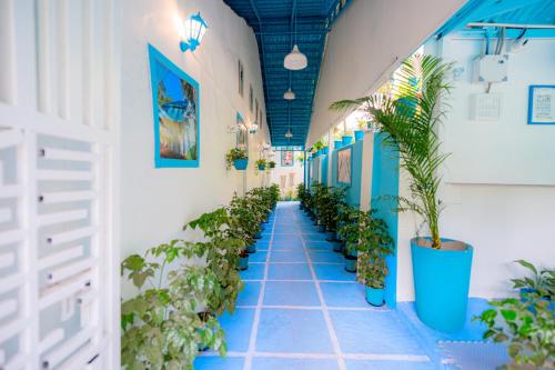 viik wellness inn 3 star resort in arambol beach