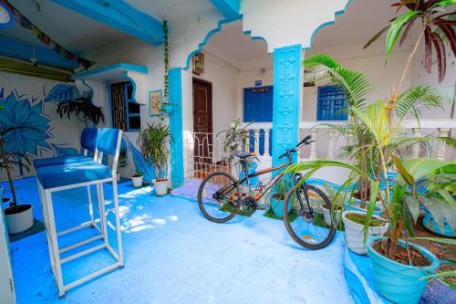 viik wellness inn 3 star resort in arambol beach