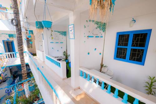 viik wellness inn 3 star resort in arambol beach