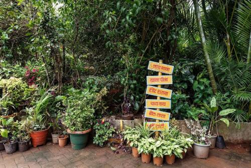 cosmicstays windchime homestay at mulshi