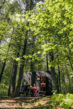 postcard cabins st francois