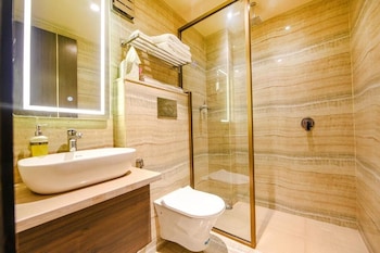 qotel signature coleman janakpuri