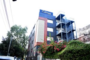 Qotel Signature Coleman Janakpuri,,3 star